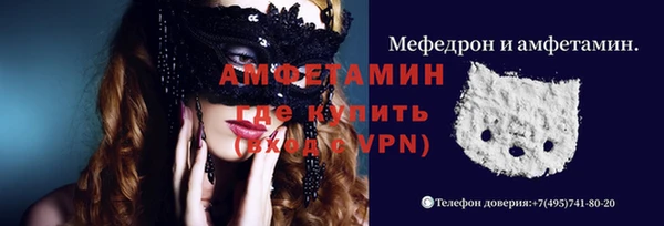 СК Алексин