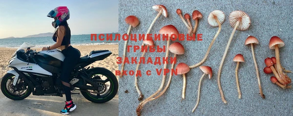 трава Абдулино