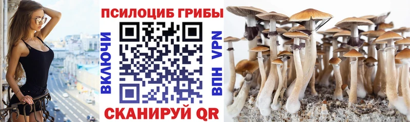 МЕГА ССЫЛКА  Балахна  Галлюциногенные грибы Psilocybine cubensis 